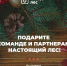 В честь Нового года россиян приглашают подарить стране 100 тысяч ёлок - Чебоксарский район