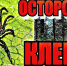 Осторожно – клещи! - Чебоксарский район
